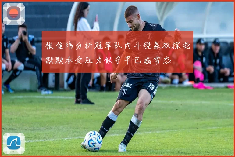 张佳玮分析冠军队内斗现象双探花默默承受压力似乎早已成常态