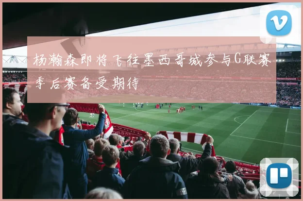 杨瀚森即将飞往墨西哥城参与G联赛季后赛备受期待