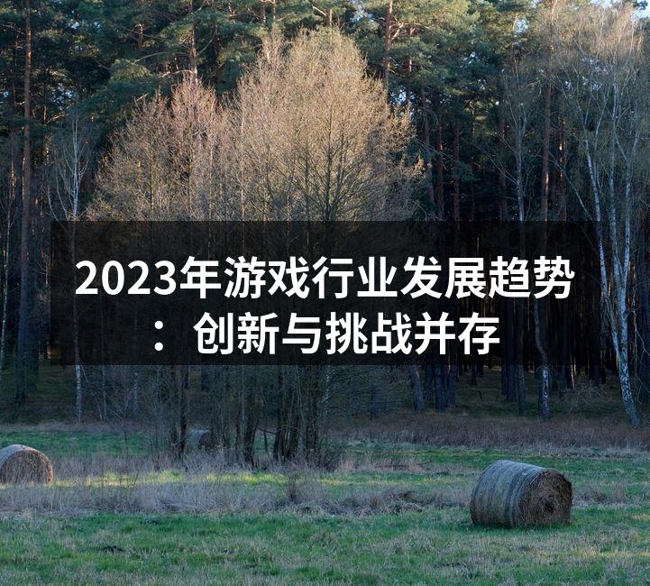 2023年游戏行业发展趋势：创新与挑战并